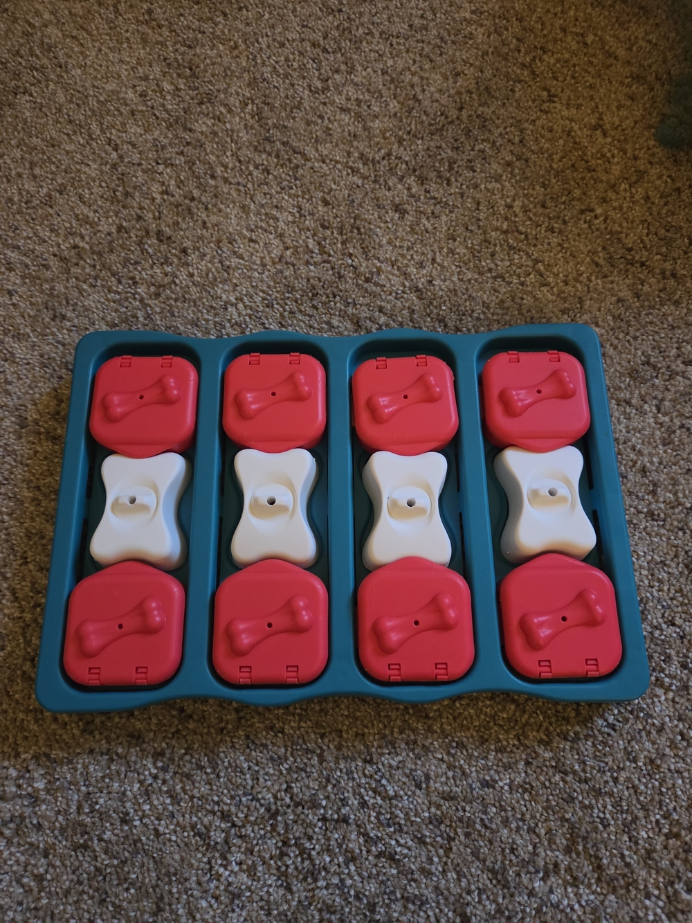 Interactive Dog Treat Puzzle Toy - Teal Tray with Red and White Pieces